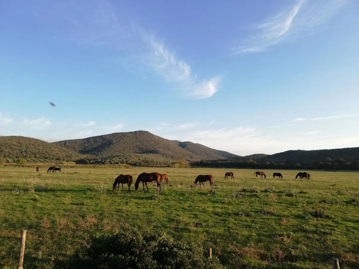 Agroturismo Agriturismo Merano Alberese Italia